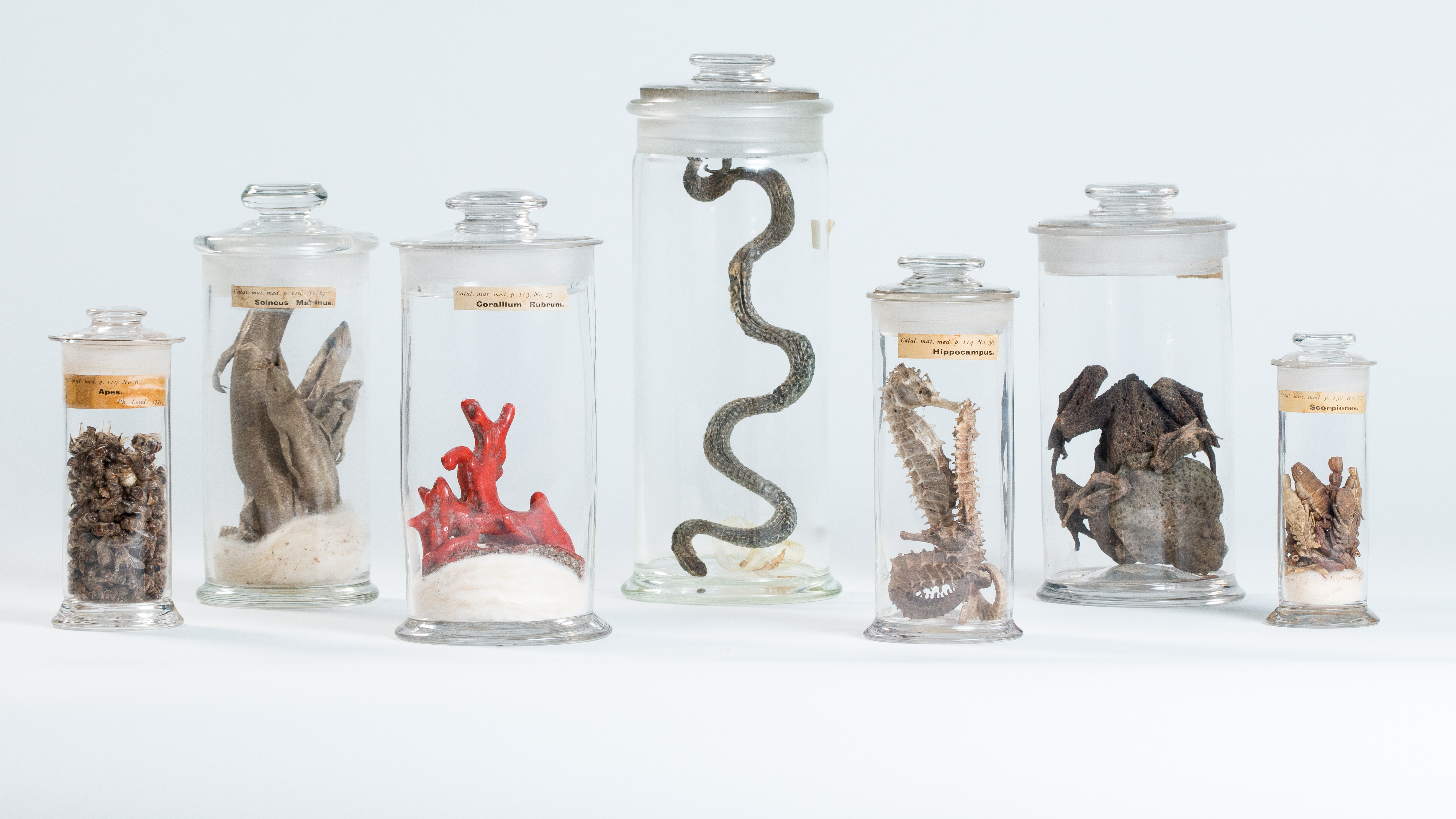 LDRPS: FAA2, LDRPS: FAS2, LDRPS: FAC15/A, LDRPS: FAV2, LDRPS: FAH1, LDRPS: FAB10, LDRPS: FAS3